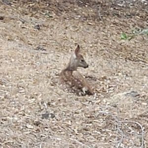 Meet your Posher, Eileen